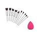 Imported 10pcs Face Eye Lip Contour Blusher Cosmetic Make Up Brushes + Powder Puff RS.520.00