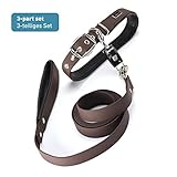 🐾3-TEILIGES SET: Aus Trioflex Führleine (2m) und Halsband PLUS Quick Connector (magnetisches Verbindungsstück zum schnellen An- und Ableinen). In einheitlicher Farbe und Design, passt perfekt zusammen!