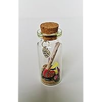 Muttertags ♥♥♥ Deko Flaschenpost. Giny´s Jar Art 