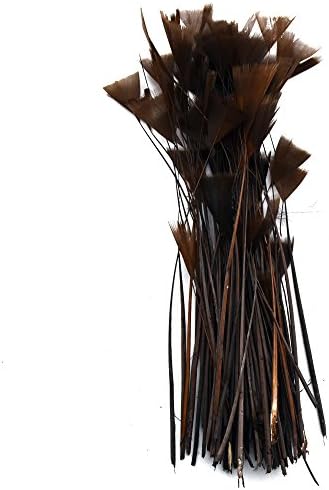 Everyshine Fluffy Natural Trim Turkey feather 5-7 inches (Brown)