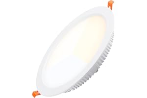 Alpinaluz Downlight LED da incasso professionale 25 W, alluminio, Ø23 cm, taglio Ø19 cm, CRI>85, interno cucina e sala da pranzo (CCT regolabile (3000 K-6000 K))