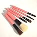 LyDia professional 6 pieces pink handle studio collection mini makeup brush set with zip case