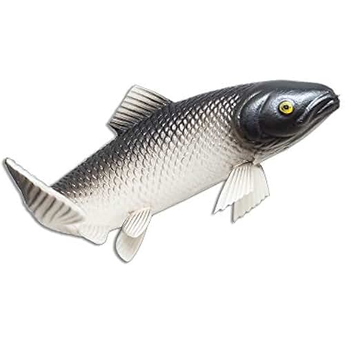 Suchergebnis auf Amazon.de für: Forellen - Wohnaccessoires & Deko