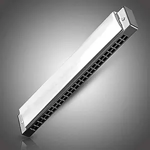 SKA Harmonica Mouth Organ 24 Holes 48 reads Key C with Plastic Case Beginner Students, Excellent Gift for Music Fan, Best Music Gift.