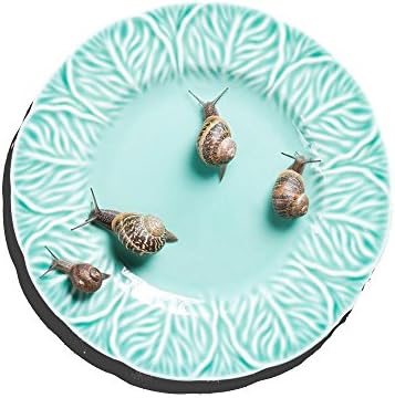 YYH Snail on the Plate Personality PVC Waterproof Sticker 3D Mouse Pad Skin Decals Non-slip Environment