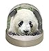 Produktbild Advanta Face of a giftant Panda Bär Schneekugel Snow Dome Geschenk, mehrfarbig, 9,2 x 9,2 x 8 cm