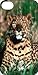 Produktbild Deco Style 1815 Schutzhülle für Iphone 5, Panther 226