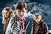 Harry Potter und die Heiligtümer des Todes Broschur XL 2011 by
