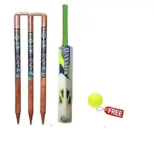 JRS Small Boys Cricket Set, Wooden Cricket kit, Cricket Kit Set 10-12 Year