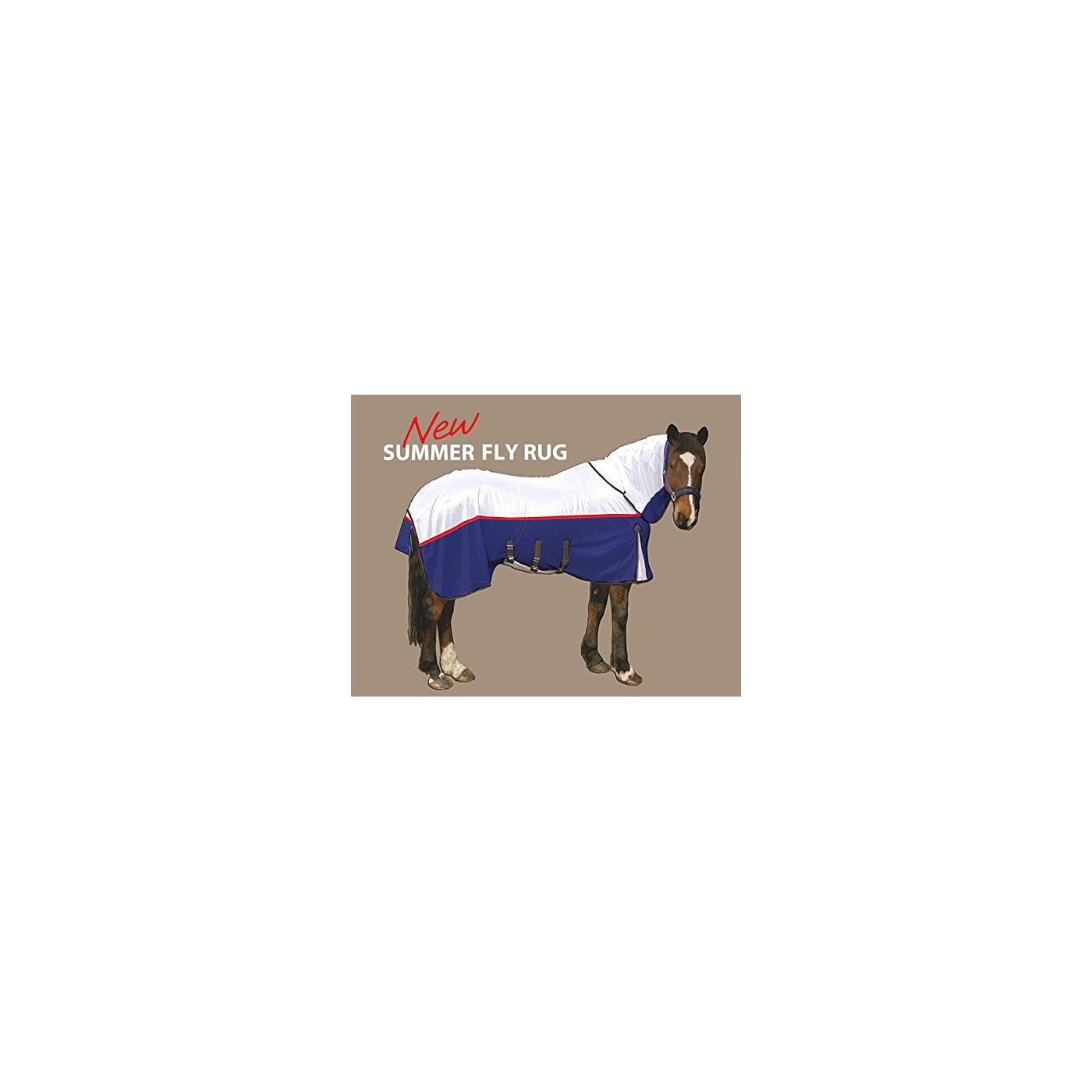 Horse ‘n’ Pony