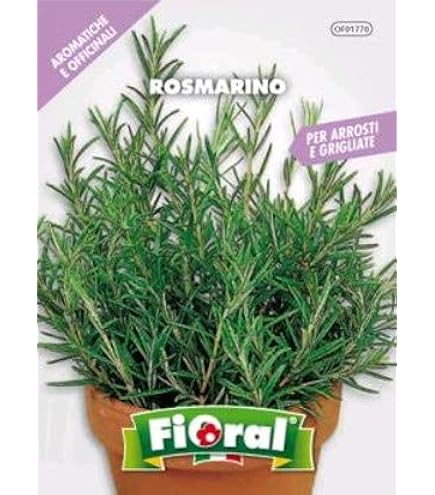 Semi Di Menta Pulegium 1000 Semi - Non Trattati, Riproducibili, Per Giardinaggio - Foto 2