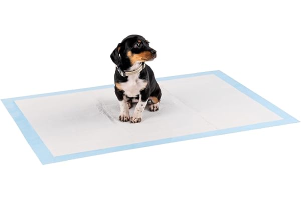 lionto Tapis d'entraînement pour Chiens à 6 Couches avec Bandes adhésives, 100 pièce 60x90 cm, imperméables grâce à Une Grande capacité d'absorption pour Animaux Malades et incontinents, Bleu/Blanc