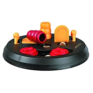 Giochi per cani Chihuahua