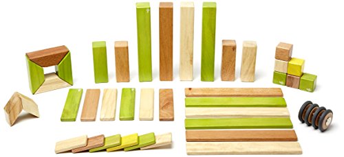 Tegu Magnetic Wooden Block Set (42-Piece, Jungle)