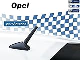 opel astra j baujahr 2011 Für Opel NIQ AM/FM KFZ-Auto-Tuning-Kurzstab-Sport-Dach-M5+M6 Gewinde-Ersatz-Antenne für OPEL
