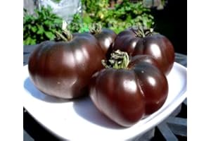 HAPPY GREEN SHOP Black Tomato - 30 Seeds + Plant tag + Freebie - Black Prince - Tomato Seeds - Heirloom