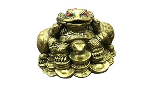 Vyne Feng Shui Showpiece Frog on Turtle