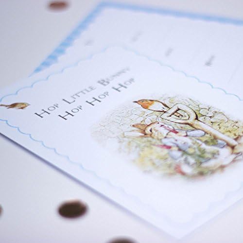 Peter Rabbit Invites with Blue Scallop design and Robin with Envelopes Set of 6