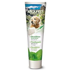 Arquivet Dentífrico para Perros Menta – 100 g