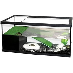 Pacific Terrarium Aquarium für Reptilien und Amphibien