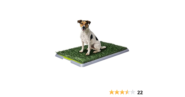 potty patch amazon