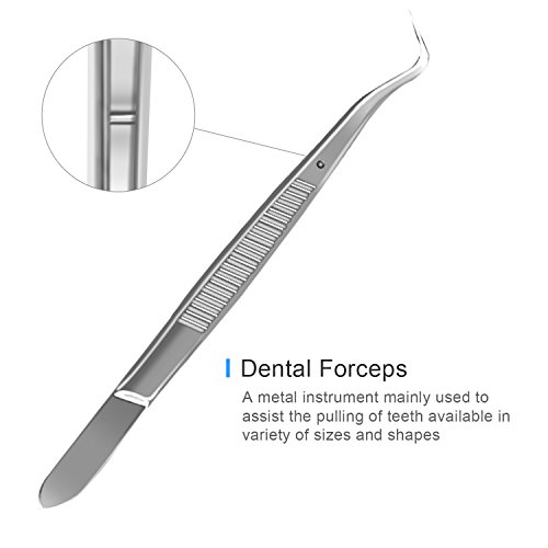 5er Dental Set Zahnreinigung bei DigHealth, Zahnsteinkratzer Sonde Edelstahl, mit Dental Spiegel und Kalkül Zahnwerkzeuge Scaler, Zahnsteinentferner Instrumente für Plaque und Tartar Entfernen - 8