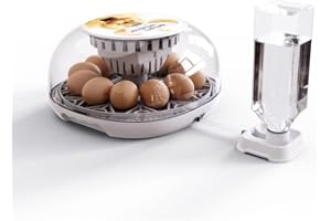 RATSTONE Brutautomat Vollautomatisch,Brutmaschine,Inkubator,Automatischer Eierbrüter mit 12 Eiern, automatischer Eiertransport, Temperaturkontrolle, Wasserbefüllung, geeignet für Hühner, Gänse und Enten.