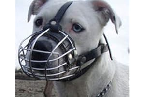 Champion Muselière en métal pour chien Amstaff & Pitbull, Bulterier (4)