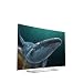 Produktbild 'LG 55EG920 V TV 55 LED UHD 4 K Smart WLAN OLED CURVO