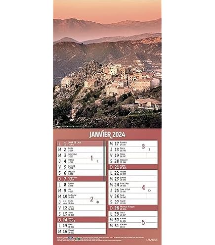 Exacompta - Calendrier mensuel en papier - 19 x 41 cm Pas Cher | Bureau