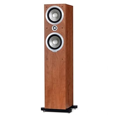 Tannoy Mecury V4 Diffusore da Pavimento, Due Vie con Reflex Frontale, Acero prezzo scontato da Polaris Audio Hi Fi