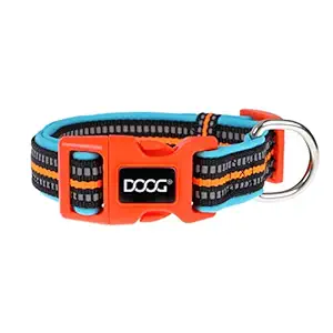 DOOG Neoprene Dog Collar Beethoven (Neon) - Large, Blue with Orange Trim