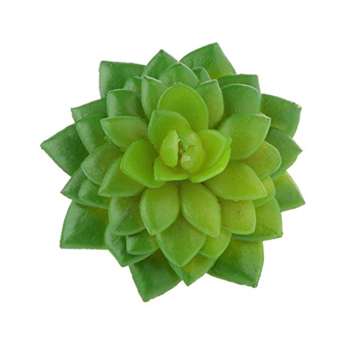 Künstliche Saftiges Reale Echeveria Blume Gräser Gras Laub Dekor Grün – 07 - 5