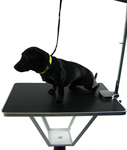 Preisvergleich Produktbild Trimmtisch, Schertisch, Hunde Katze , Höhenverstellbar Hundetisch