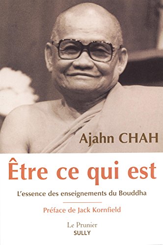 Télécharger Kindle livres à iPad gratuitement Etre ce qui est : L'essence des enseignements du Bouddha by author 2354323085 ePub