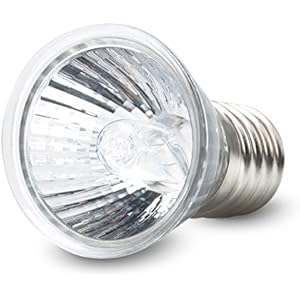 Wärme Lampe Terrarium, 5W Klein UVB 3.0 Wärmestrahler Terrarium, für Reptil Landschildkröten Terrapins glass white, by LC Prime