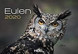  Eulen 2020: Der Sympathische Eulen-Kalender mit den charmanten Namen