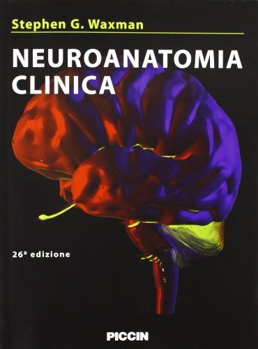 Neuroanatomia clinica