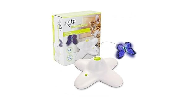 Afp Design Interactives Shiny Butterfly Flutter Bug Cat Fun