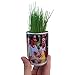 Produktbild Mini Garten - Ihr Stück Rasen für Zuhause - Rasen aus der Dose - Zum Einzug oder Geburtstag - Gartendose