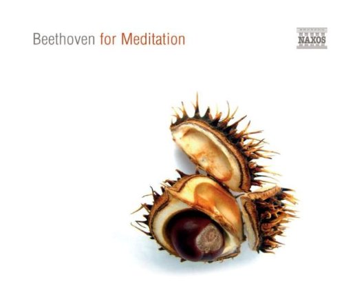 couverture de : Beethoven for meditation