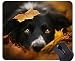 Produktbild Mauspads, Gaming-Mauspad, Leaf Dog Border Collie - Genähte Kanten