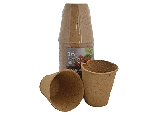 Preisvergleich Produktbild Plantpak ppk70203010 Samen und zimmergewächshäusern