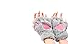Produktbild DESIGN FREUNDE Damenhandschuhe Bärentatze Braun Handschuhe Fäustline Handschuhset Bär Mode Handschuhe Damenhandschuhe Frauenhandschuhe Fingerlinge Damenhandschuhe Bärentatze Grau