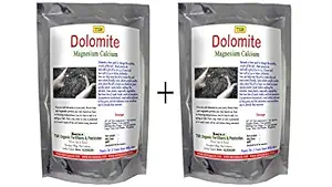 TSR Organic Fertilisers & Pesticides Dolomite Lime Magnesium and calcium powder fertilizer (White, 450 g + 450 g) -Pack of 2