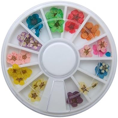 Goliton 2X 36PCS Nail Art Accessories Dried Flowers Colorful Life Nail Flower Stickers for DIY Crafts Nails Decorations Nail Salon Nail Decals Nail Design for Nail Treatment Resin Jewelry