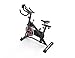 Produktbild Schwinn Fitnessbike IC2i - Direct Drive Getriebe - 14 kg Schwungrad - Easy-adjust Pedale - LCD-Computer - Lenker Multi-Position