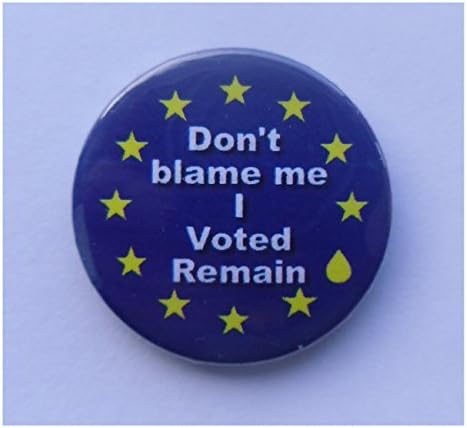 "Dont blame me, I voted Remain" EU Brexit referendum 25mm Button badge