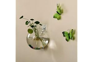 guangzhou Vaso di Vetro Appeso a Parete per terrari idroponici Serbatoi per Fiori in Vaso