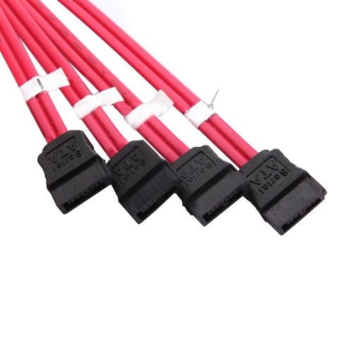 SODIAL (R) Mini 10 Gbps SAS 4i SFF-8087 36-Pin zu 4 SATA 7 Pin HDD Festplatte Splitter Kabel - 4